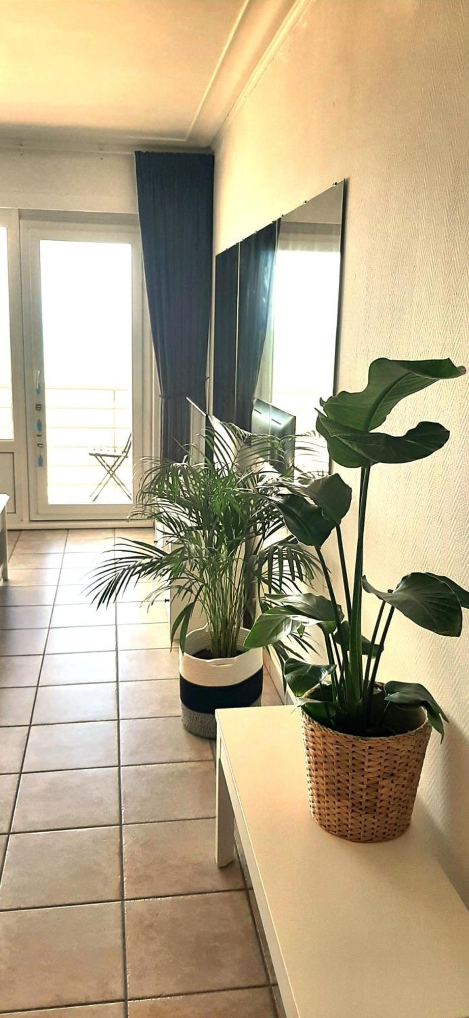 Lo & L'Oo Apartman Ostende Kültér fotó